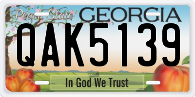 GA license plate QAK5139