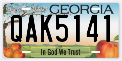 GA license plate QAK5141