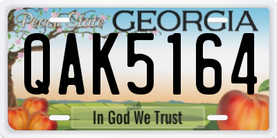 GA license plate QAK5164