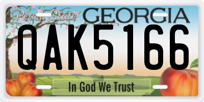 GA license plate QAK5166