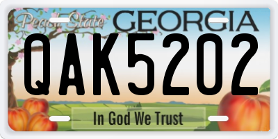 GA license plate QAK5202