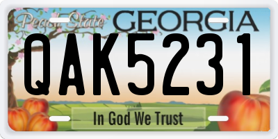GA license plate QAK5231