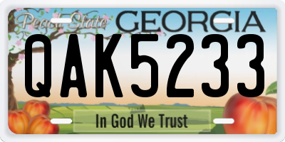 GA license plate QAK5233