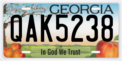 GA license plate QAK5238