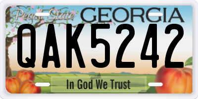 GA license plate QAK5242
