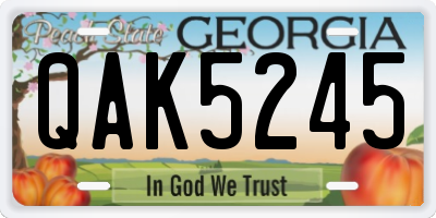 GA license plate QAK5245