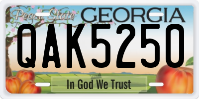GA license plate QAK5250