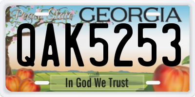 GA license plate QAK5253