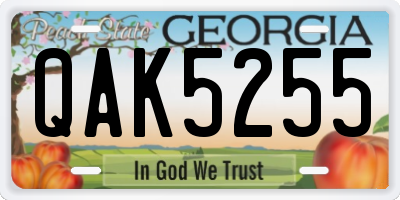 GA license plate QAK5255