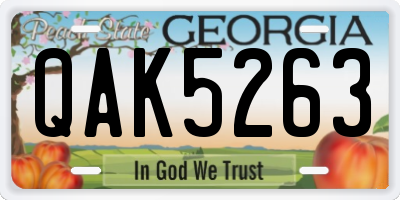 GA license plate QAK5263
