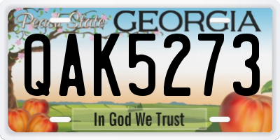 GA license plate QAK5273