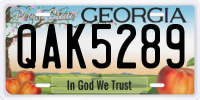 GA license plate QAK5289