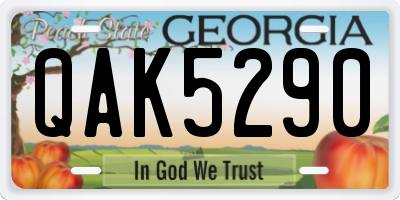 GA license plate QAK5290