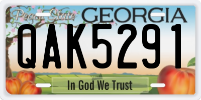 GA license plate QAK5291