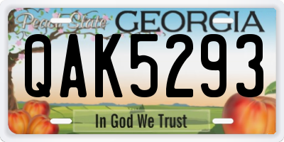 GA license plate QAK5293