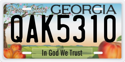 GA license plate QAK5310