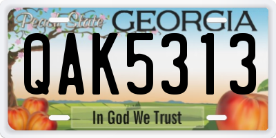 GA license plate QAK5313