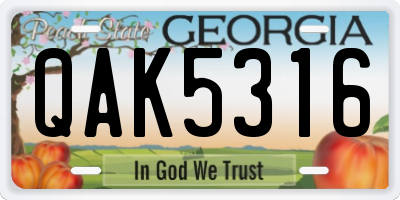GA license plate QAK5316