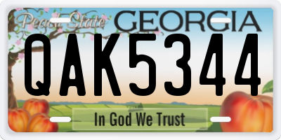 GA license plate QAK5344