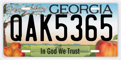 GA license plate QAK5365