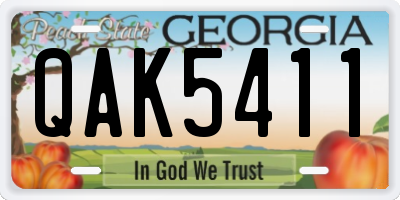 GA license plate QAK5411