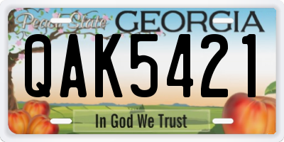 GA license plate QAK5421