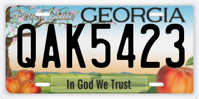 GA license plate QAK5423