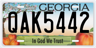 GA license plate QAK5442