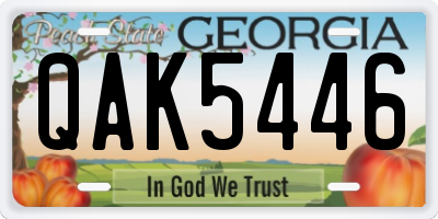 GA license plate QAK5446