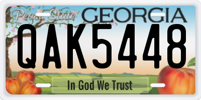 GA license plate QAK5448