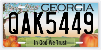 GA license plate QAK5449