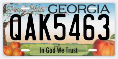 GA license plate QAK5463