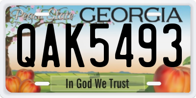 GA license plate QAK5493