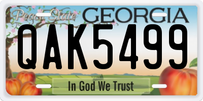 GA license plate QAK5499