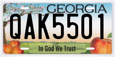 GA license plate QAK5501