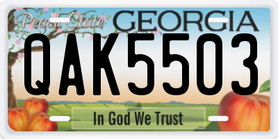 GA license plate QAK5503