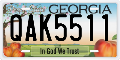 GA license plate QAK5511