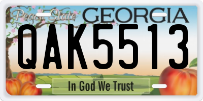 GA license plate QAK5513