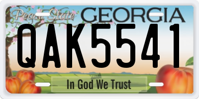 GA license plate QAK5541