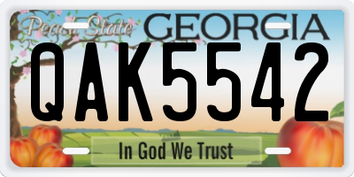 GA license plate QAK5542
