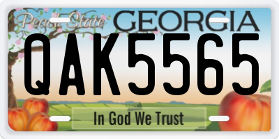 GA license plate QAK5565