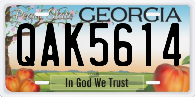 GA license plate QAK5614