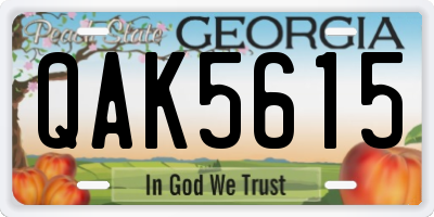 GA license plate QAK5615