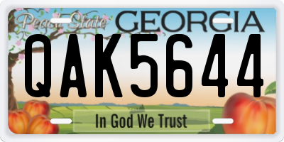 GA license plate QAK5644