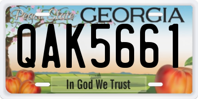 GA license plate QAK5661