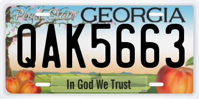 GA license plate QAK5663