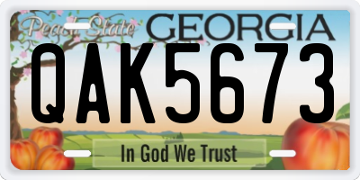 GA license plate QAK5673
