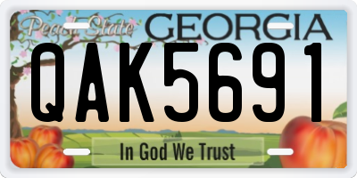 GA license plate QAK5691