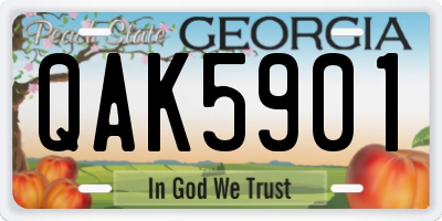 GA license plate QAK5901