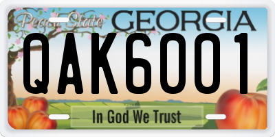 GA license plate QAK6001